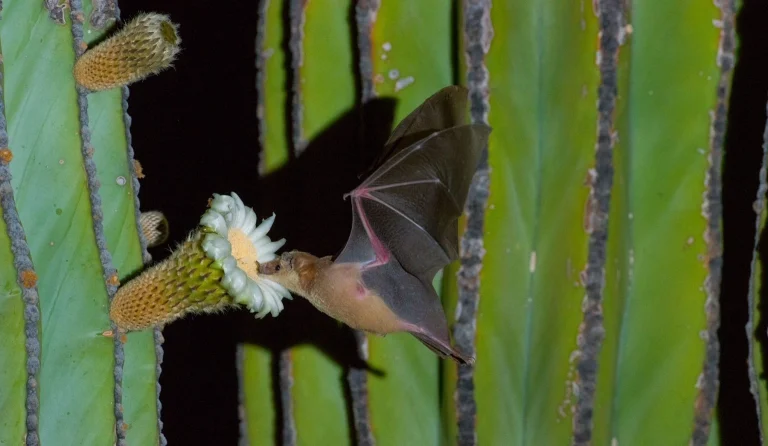 Acerca-de-Nosotros-recortar-la-firma