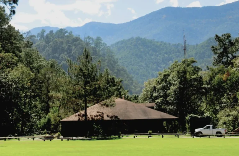 vitro-park-don-sotero